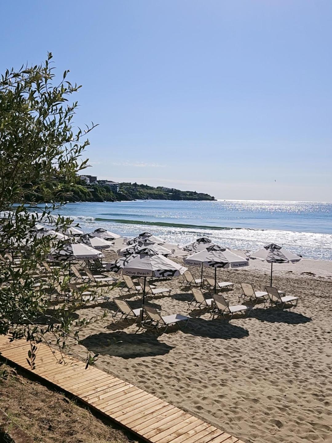 Olive Villas Beach Hotel 索佐波尔 外观 照片